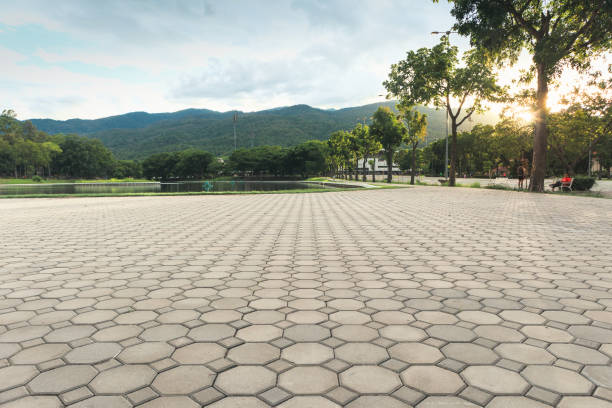 Professional Driveway Pavers in Flagler Estates, FL